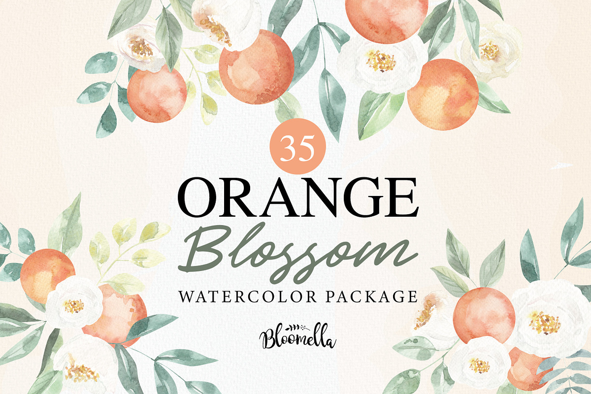 Orange Blossom 35 Watercolor Package, an Object Graphic by Bloomella (Photo 1 of 6)