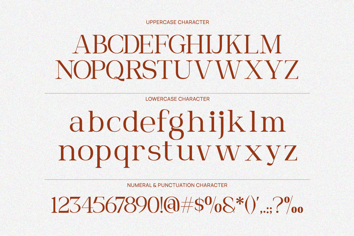 Roviane Modern Serif Font, a Serif Font by Rasio Studio (Photo 2 of 9)