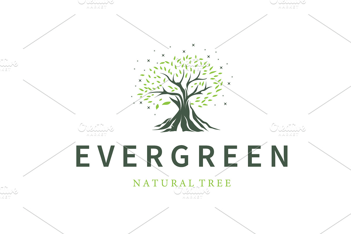 Modern Tree Leaf Icon for Eco, a Branding & Logo Template by Maylianaw28 (Photo 1 of 3)