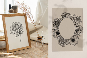 Peonies Line Art Collection