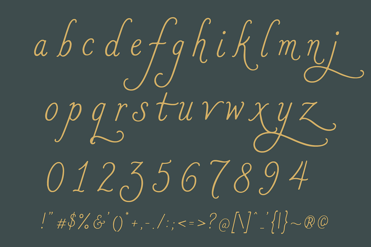 Romanster Merkuria - Elegant Script, a Handwritten Font by HypeWorksCo (Photo 16 of 16)