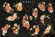 Floral Art Collection - Mimosa, an Object Graphic by Eclectic Anthology (Thumbnail 6 of 11)