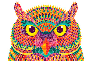 Hand-drawn colorful owl.