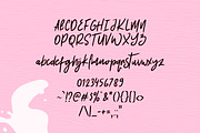 Rogan Winters, a Script Font by YandiDesigns (Thumbnail 2 of 4)