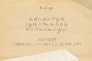 Birdcage Handwritten Font, a Handwritten Font by Mneme (Thumbnail 7 of 8)