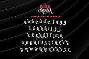 Blink Omega - Swash Serif Font, a Serif Font by Airotype (Thumbnail 11 of 14)