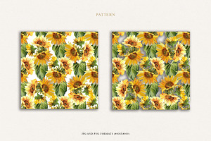 Sunflowers Clipart Collection