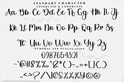 Brittany Charming, a Handwritten Font by FreshTypeINK (Thumbnail 2 of 8)