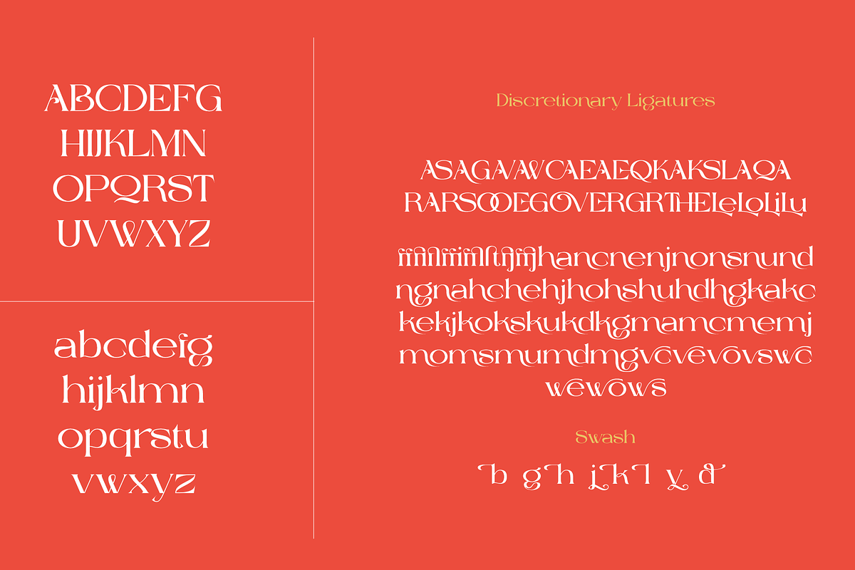 The Cavas Nera 9 Font, a Serif Font by AuthenType (Photo 6 of 11)