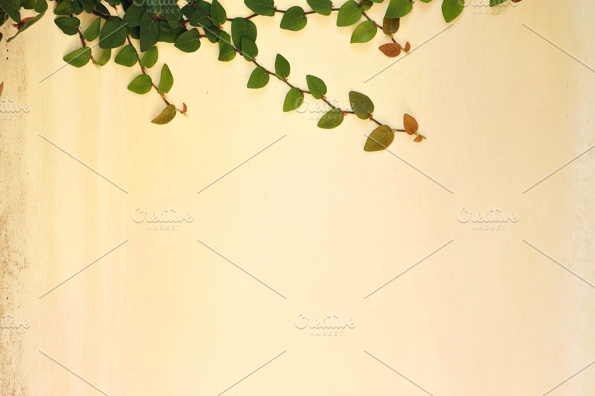 Creeping vine on stone, an Abstract Photo by The Free Creatives (Photo 1 of 2)