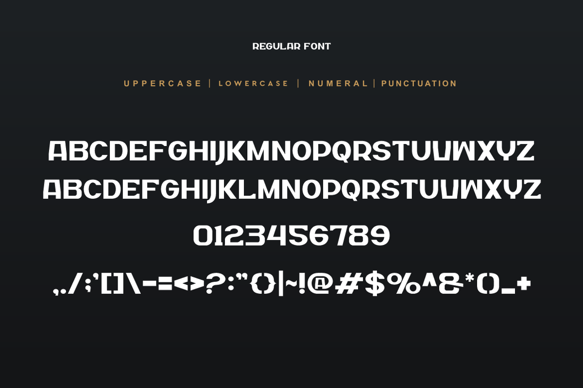 Jenorex Friday, a Sans Serif Font by QR Design Studio (Photo 5 of 8)