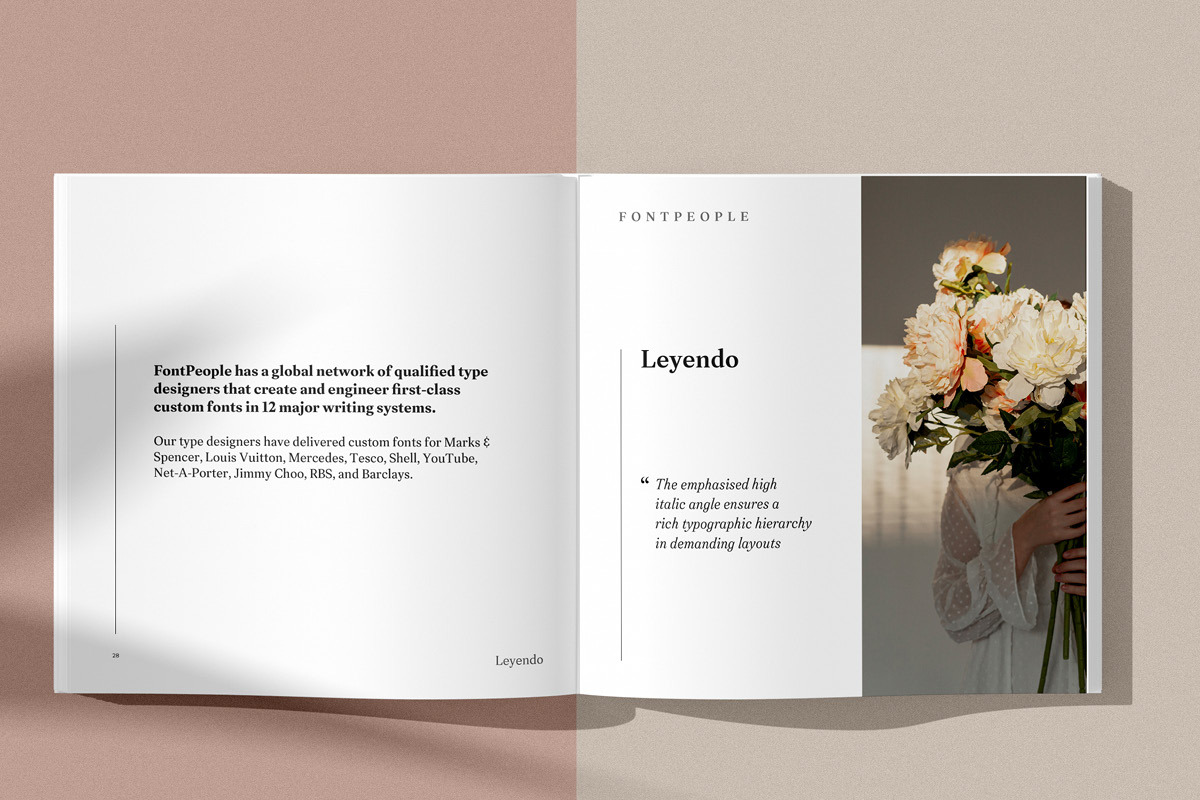 Leyendo font family by FontPeople, a Slab Serif Font by FontPeople (Photo 6 of 6)