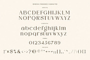 DENOVA // Elegant Luxury Font, a Serif Font by ToniStudio (Thumbnail 8 of 10)