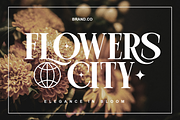 Rugola - Modern Luxury Font, a Serif Font by RagamKata (Thumbnail 2 of 10)