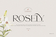 SERMO - elegant serif font, a Serif Font by ToniStudio (Thumbnail 3 of 11)