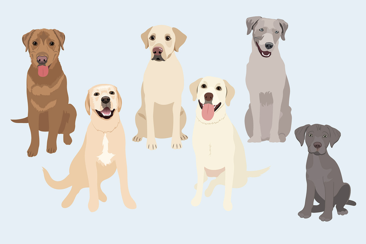 Labrador Retriever Vector Clip Art, an Illustration by Putnam Road Art (Photo 3 of 3)