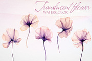 Watercolor Translucent Flower Vector, a Pattern Graphic by Deckar_art (Thumbnail 1 of 5)