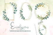 Watercolor Eucalyptus SET, a Decorative Illustration by TanataDesign (Thumbnail 8 of 16)