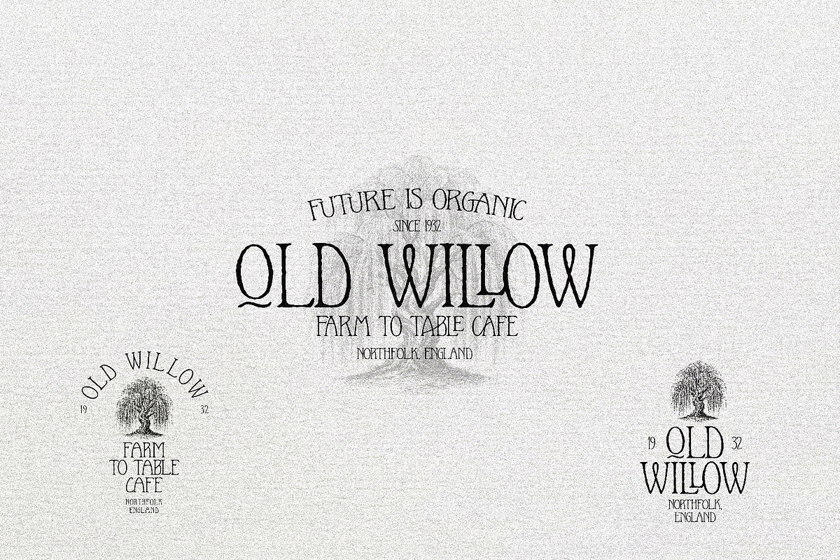 Le Petite Muse Vintage Ligature Font, a Serif Font by AndrewPixelType (Photo 3 of 11)