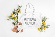 Farmhouse Lemonade, Tall Skinny Font, a Handwritten Font by Kaya Fonts (Thumbnail 9 of 24)