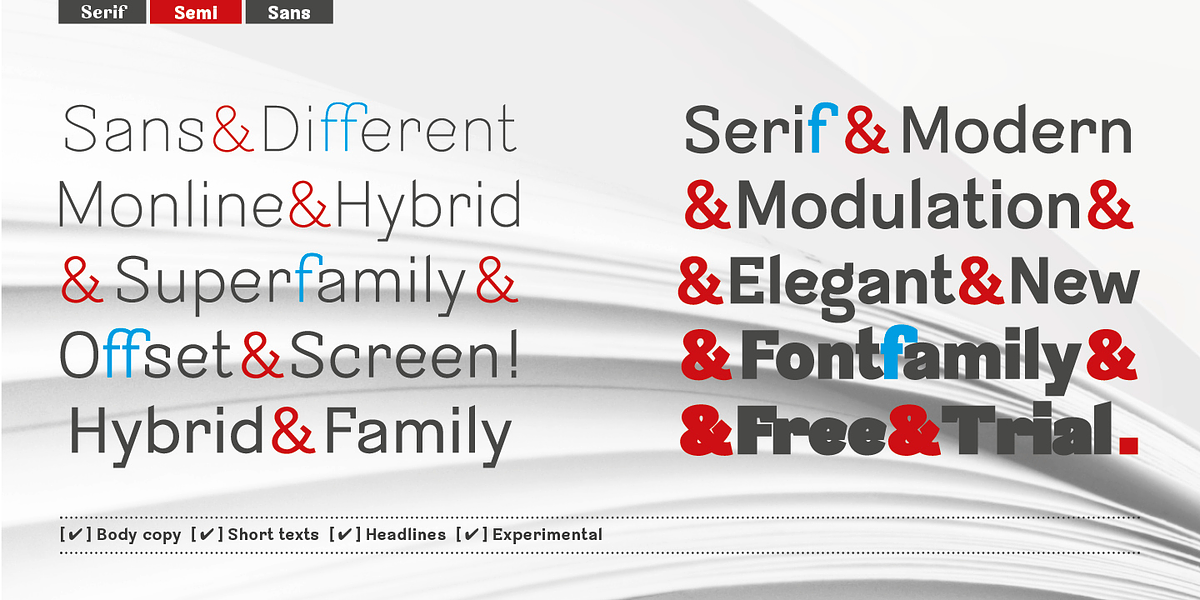 Sintesi Semi, a Sans Serif Font by FSdesign (Photo 1 of 5)