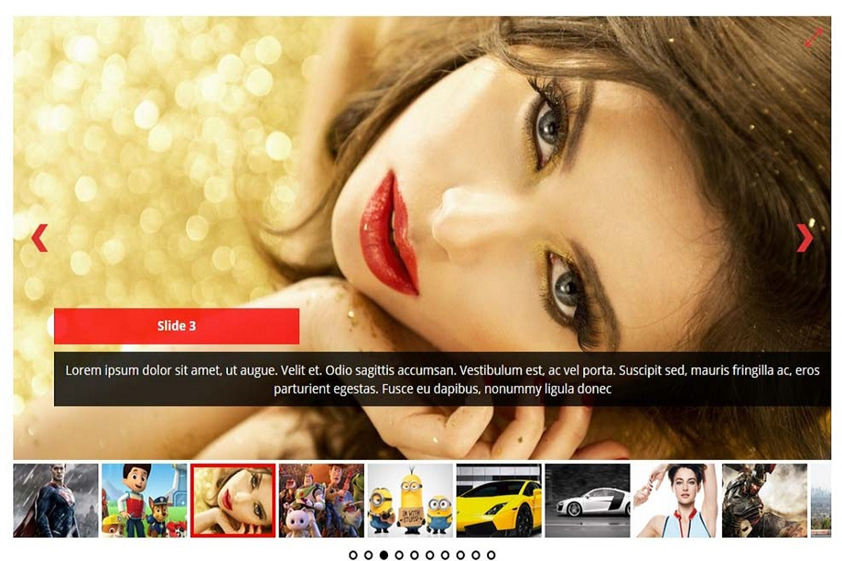 Ultimate Responsive Image Slider Pro preview 6