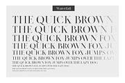 Legatum font family (5 fonts), a Serif Font by Fontop (Thumbnail 10 of 16)