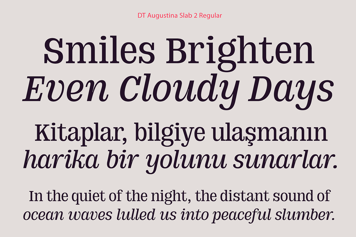 DT Augustina Slab 2 Subfamily, a Slab Serif Font by Deveze Type Foundry (Photo 7 of 30)