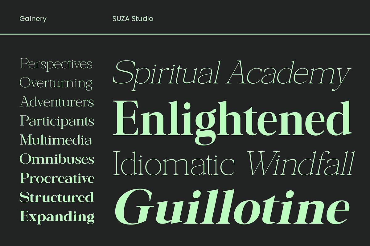 Galnery, a Serif Font by Suza Studio (Photo 4 of 13)