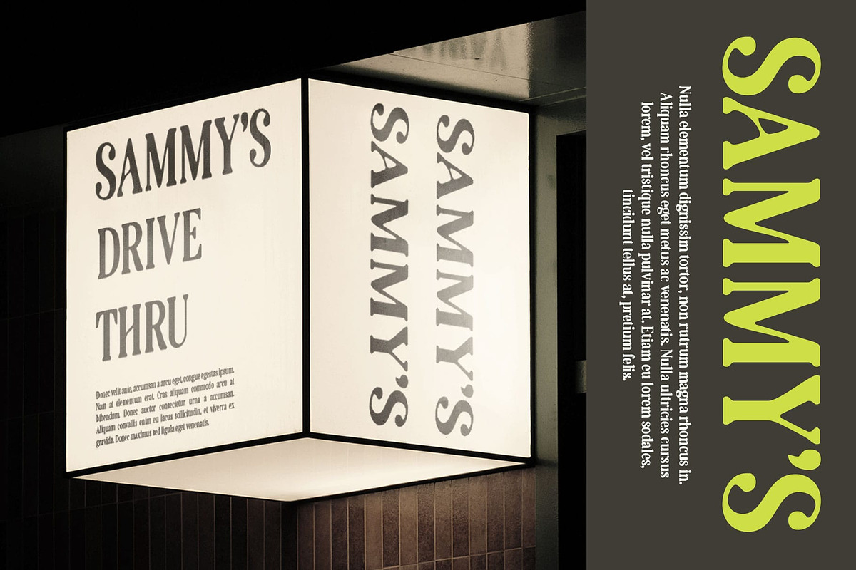 Amaris Blur, a Serif Font by Craft Supply Co. (Photo 7 of 8)