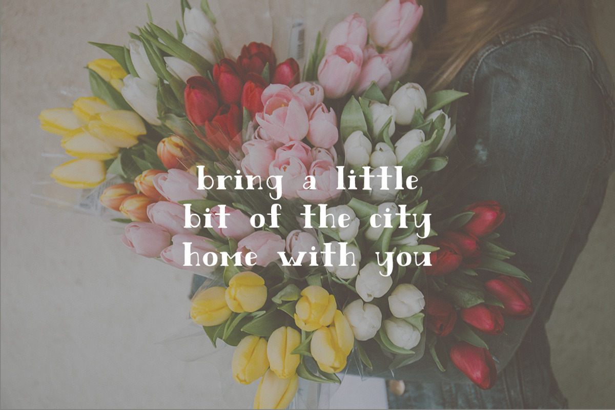 Amsterdam: A Hand-Lettered Font preview 2