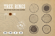 Tree trunk cross section., an Object Graphic by DOBROGRAPH (Thumbnail 1 of 7)