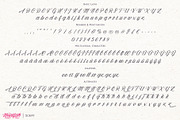 Madfish Font Family ++ EXTRAS, a Script Font by Ayca Atalay (Thumbnail 12 of 15)
