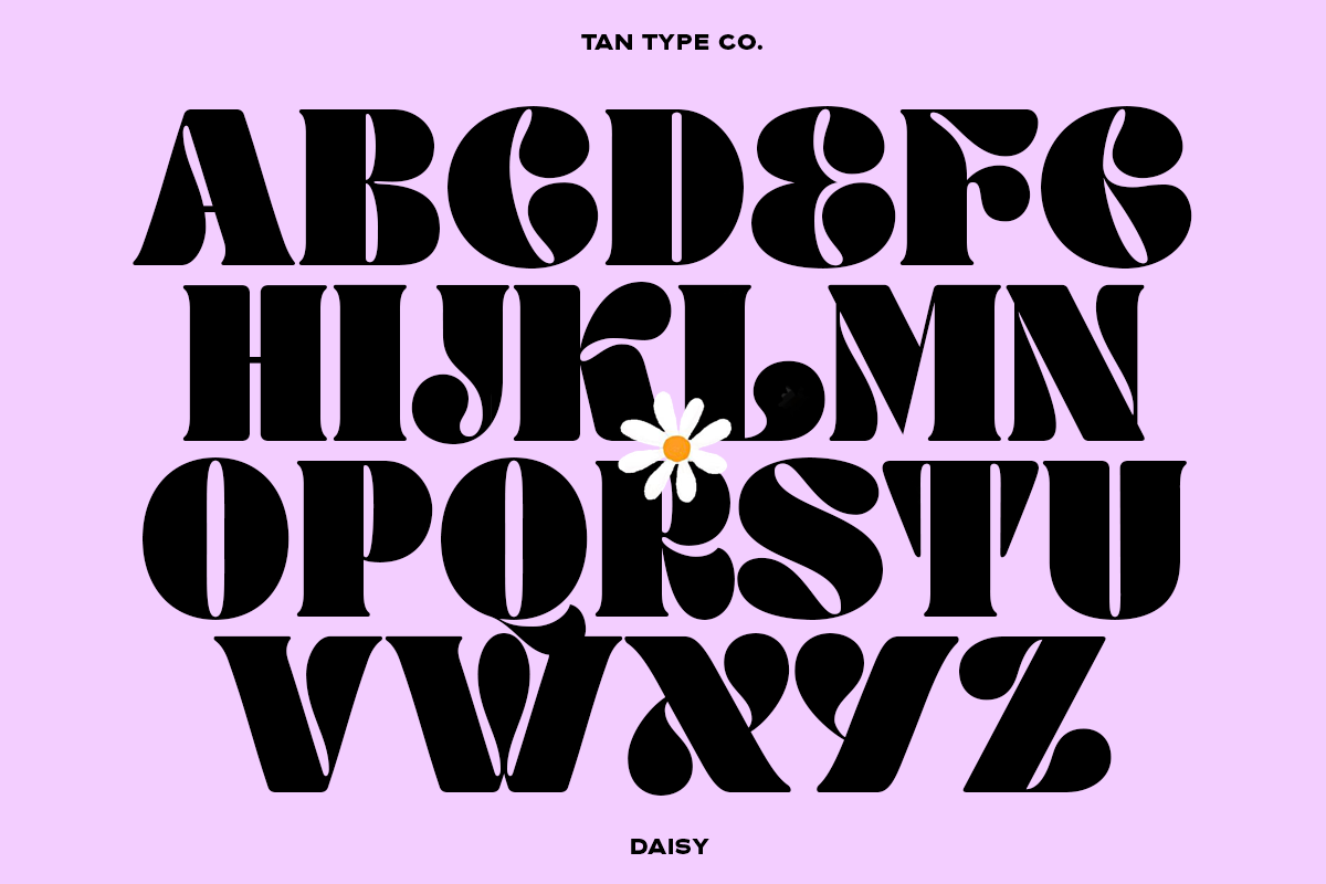 TAN - DAISY, a Serif Font by TanType (Photo 8 of 14)