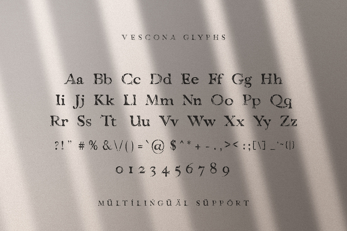 Vescona - Grunge Serif Font, a Slab Serif Font by AndrewPixel (Photo 6 of 8)