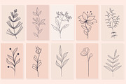BIG Meadow Flowers Collection, a Decorative Illustration by ZinetroN (Thumbnail 4 of 4)