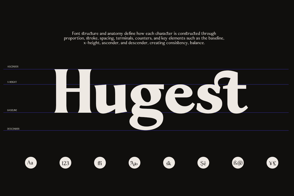 Sonne | 12 Fonts, a Serif Font by Skinny Type (Photo 8 of 11)