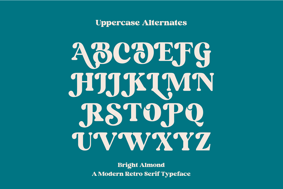 Bright Almond, a Serif Font by zeenesia (Photo 16 of 17)