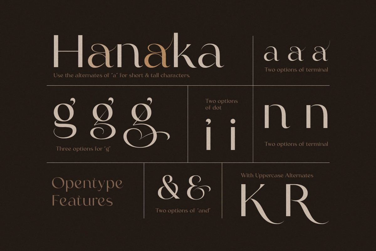 Argue - Stylish Font, a Sans Serif Font by Sarid Ezra (Photo 2 of 12)