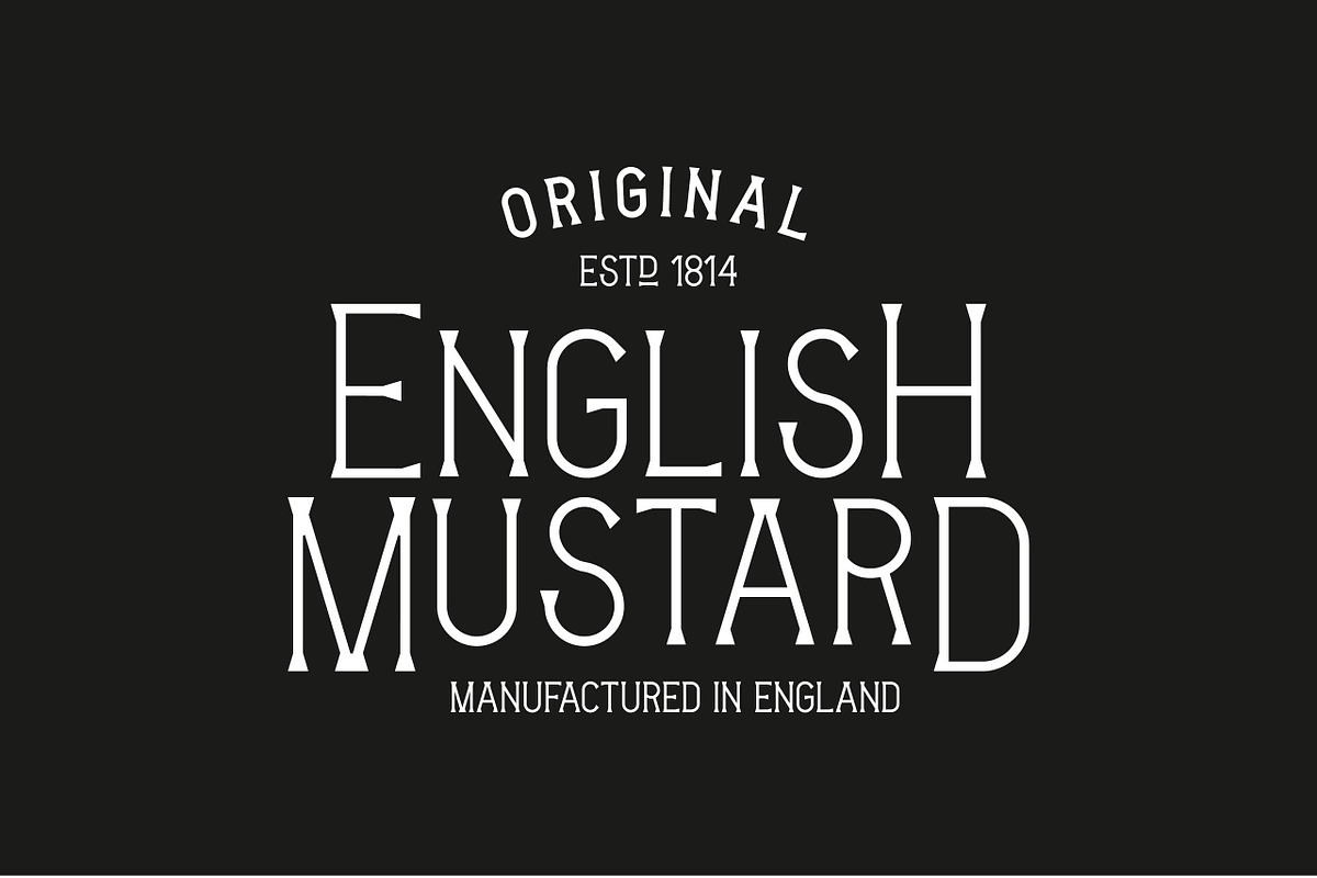 Victoria Typeface, a Serif Font by Studio Bayley (Photo 3 of 7)