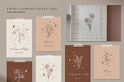 Hand drawn Birth Month Flowers, an Illustration by KirillsWorkshop (Thumbnail 6 of 12)