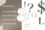 Slamyon - Elegant Swash Display, a Serif Font by Qweera Studio (Thumbnail 9 of 12)