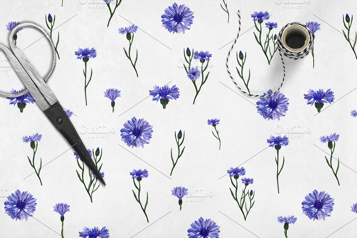 Wildflowers, stripes, checks bandle, a Pattern Graphic by Oksana Dovhopol Art (Photo 14 of 23)