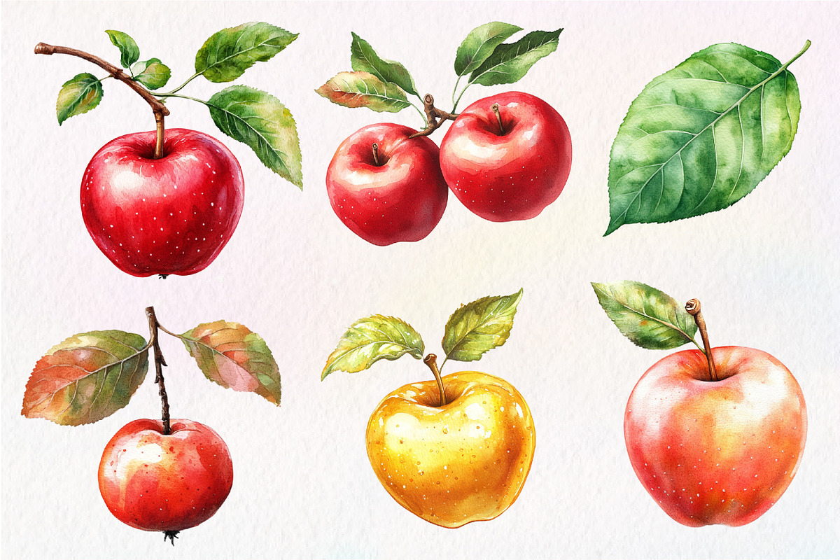 Falling Apples Watercolor Clipart, an Illustration by Dream Creation (Photo 5 of 6)