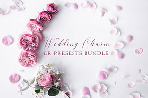 500+ Wedding Charm LR Presets Bundle