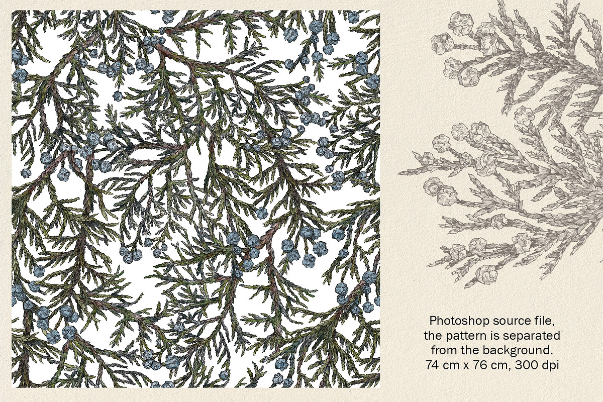 Juniper. Seamless patterns, a Pattern Graphic by emeraldthue
