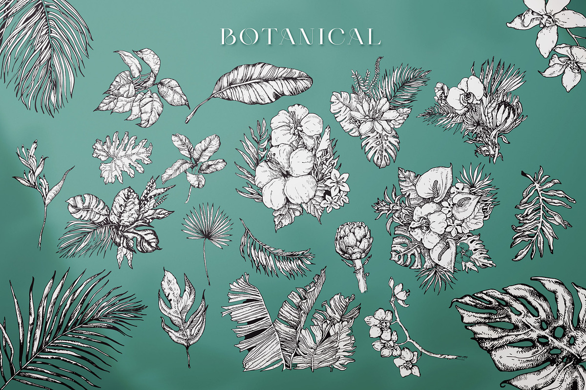 Tropica Collection, a Seasonal Illustration by Michael Rayback Design (Photo 5 of 15)