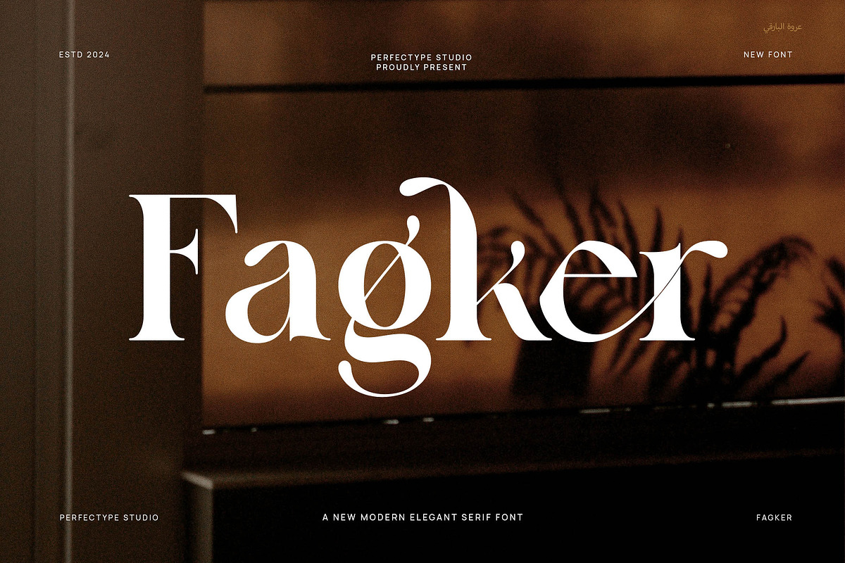 Fagker Elegant Serif Font By Perfectype