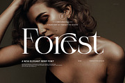 Forest Elegant Serif Font, a Serif Font by Perfectype (Thumbnail 1 of 8)