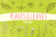 40 plants and leaves elements, an Illustration by Anna's Creative Store (Thumbnail 1 of 5)
